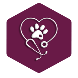 Medical <br>Consultation