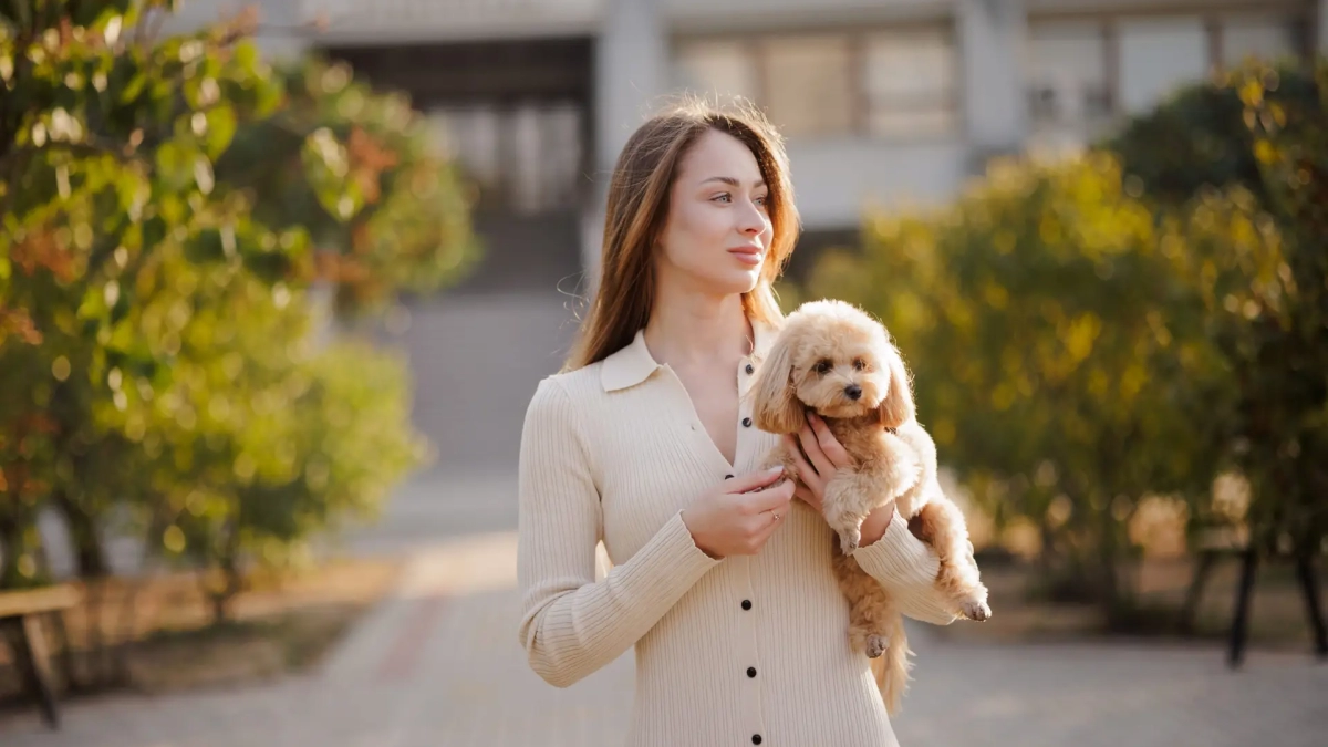 Beautiful young woman holding her small dog outdoors. Friendship, pet care, love and modern urban lifestyle concept.
