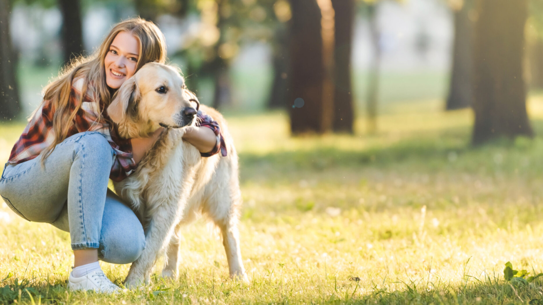panoramic shot of beautiful young girl in casual clothes hugging golden retriever while sitting on meadow in sunlight